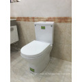 Washdown P-Trap Zweiteiliges WC Sanitaryware